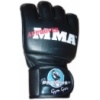 Pro-Series MMA Gloves