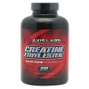 CREATINE ETHYL ESTER