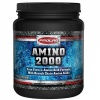 AMINO 2000