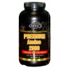 PREMIUM AMINO 2500