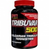 TRIBUVAR 500