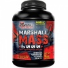 Mass Gainer
