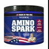 AMINO Spark