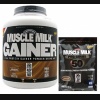 Muscle Milk Gainer