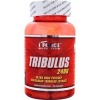 Tribulus 2400