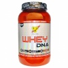 DNA Series