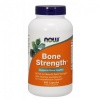Bone Strength