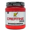 Creatine DNA