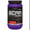BCAA POWDER 12.000