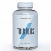 TRIBULUS