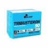 TRIBUSTERON 90% SAPONINS