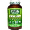 WHEAT GRASS