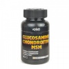 GLUCOSAMINE CHONDROITIN MSM