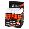 MEGA ECDYSTERONE +8VITAMINS