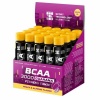 BCAA 3000 FITNESS TONIC
