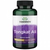 Tongkat Ali