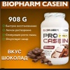 PRO CASEIN