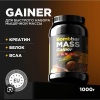 MASS GAINER