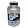 Creatine Fuel